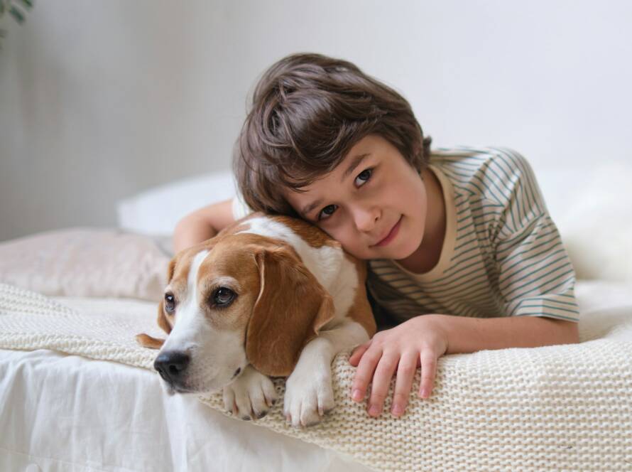 Glücklicher Junge umarmt geretteten Beagle auf dem Bett, beide lächeln. Adoptieren Sie ein liebevolles Haustier und schaffen Sie es ein Leben lang